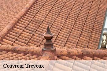 Couvreur  trevoux-01600 